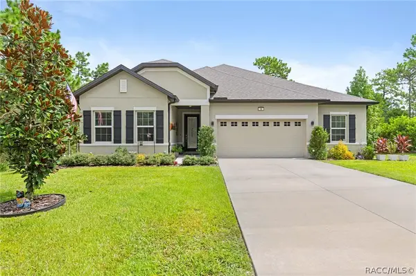 16 Elder Court E, Homosassa, FL 34446