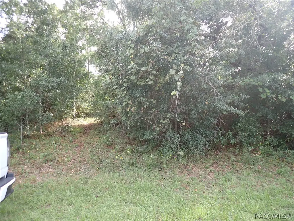 5270 W Shaker Place, Lecanto, FL 34461 - #1