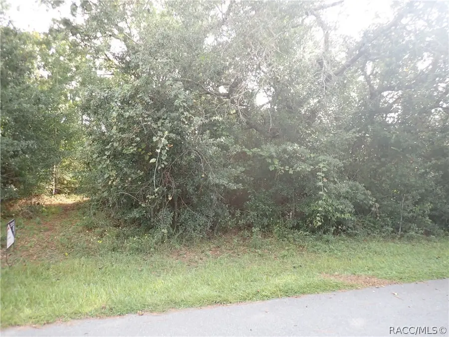 5270 W Shaker Place, Lecanto, FL 34461 - #2