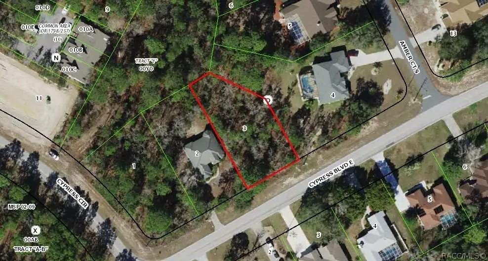 6 Cypress Boulevard E, Homosassa, FL 34446 - #1