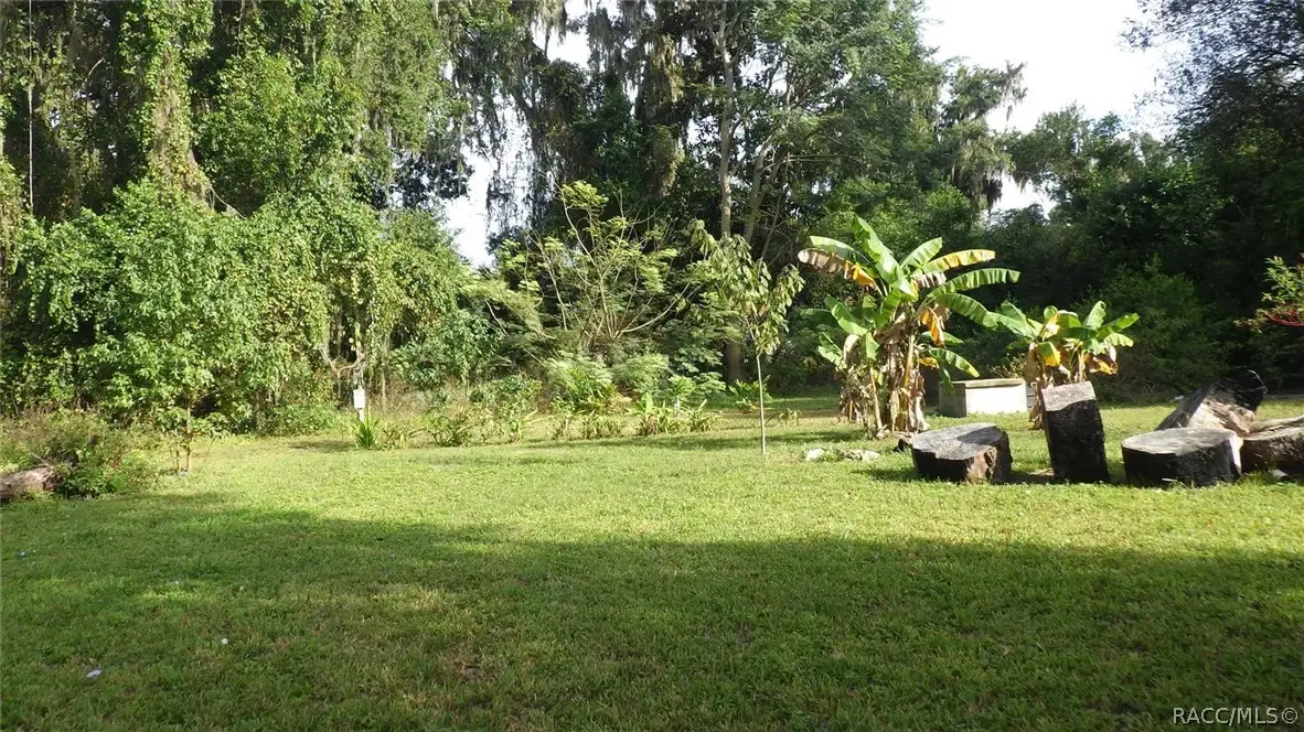 8065 E Gobbler Court, Floral City, FL 34436 - #1
