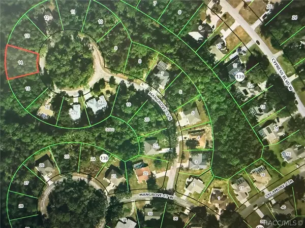 22 Mangrove Court N, Homosassa, FL 34446