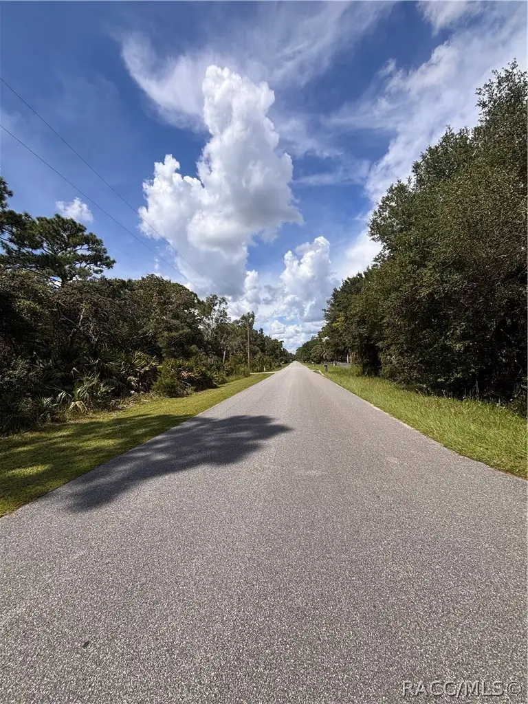 1072 S Candlenut Avenue, Homosassa, FL 34448 - #3