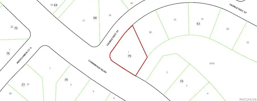 1 Fringetree Street, Homosassa, FL 34446 - #2