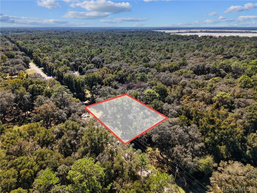 12970 NW 87th Court, Chiefland, FL 32626 - #2