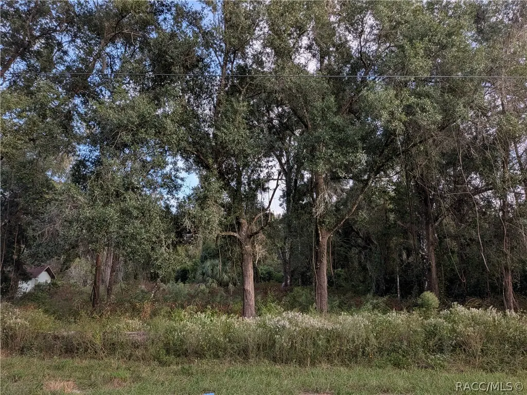 12475 S Istachatta Road, Floral City, FL 34436 - #1