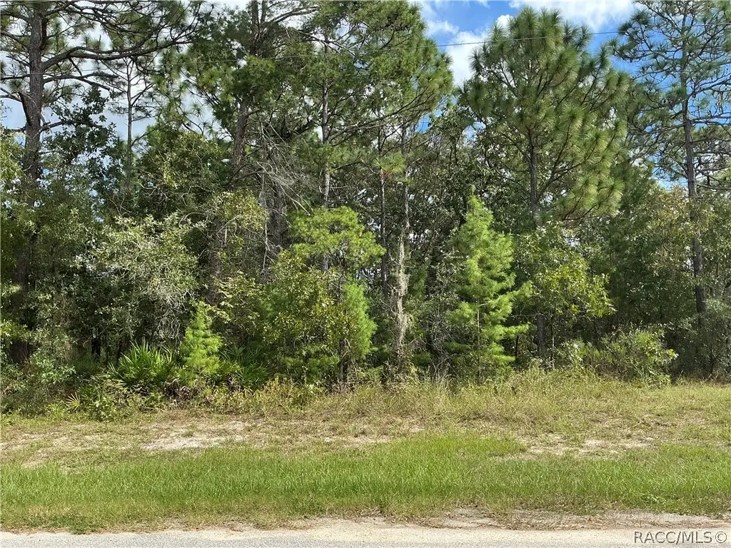 29 Oak Village Boulevard S, Homosassa, FL 34446 - #1