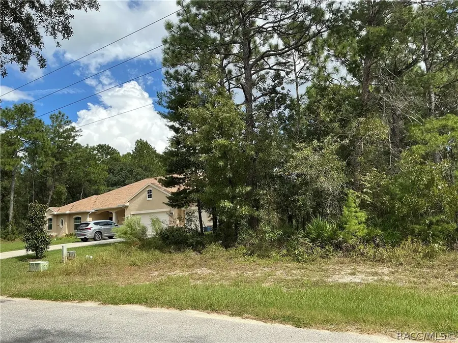 29 Oak Village Boulevard S, Homosassa, FL 34446 - #3
