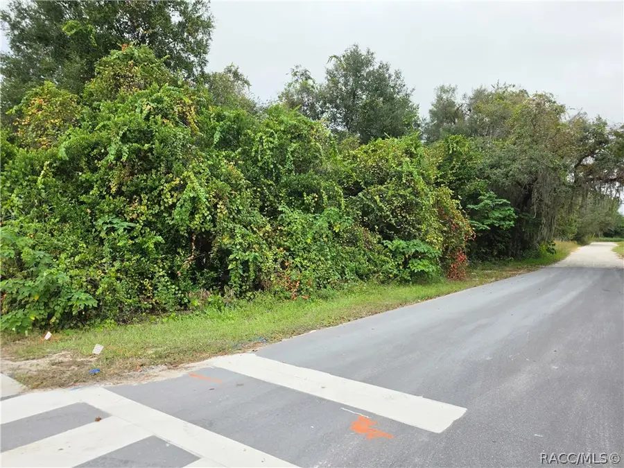 2606 Forest Drive, Inverness, FL 34453 - #2