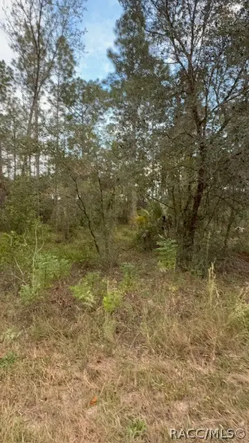 Address Withheld By Seller, Dunnellon, FL 34431