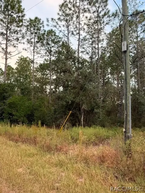 Address Withheld By Seller, Dunnellon, FL 34431 - #3