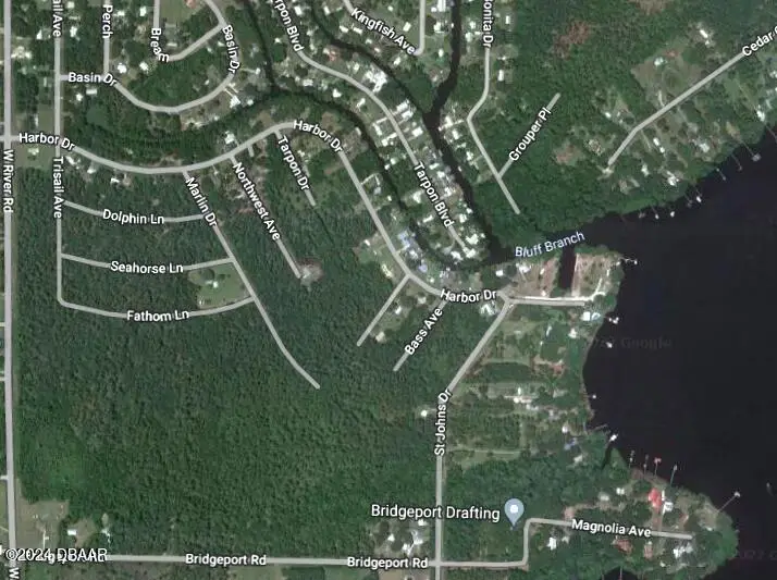 257 Harbor Drive, Palatka, FL 32177 - #3