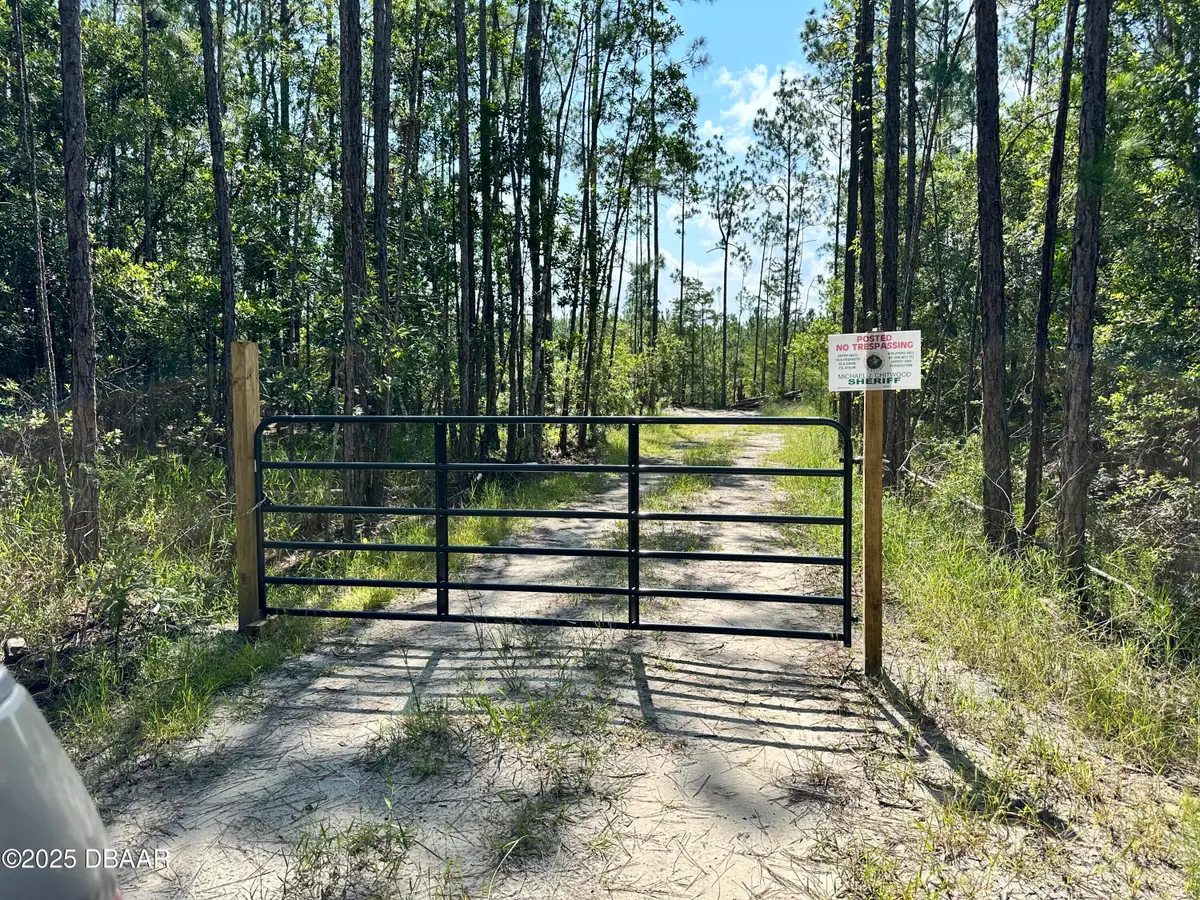 3789 Pine Pitch Court, Ormond Beach, FL 32174 - #1