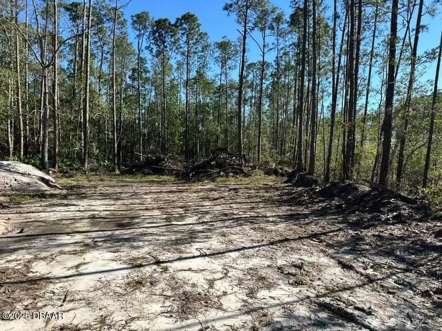 3789 Pine Pitch Court, Ormond Beach, FL 32174 - #2