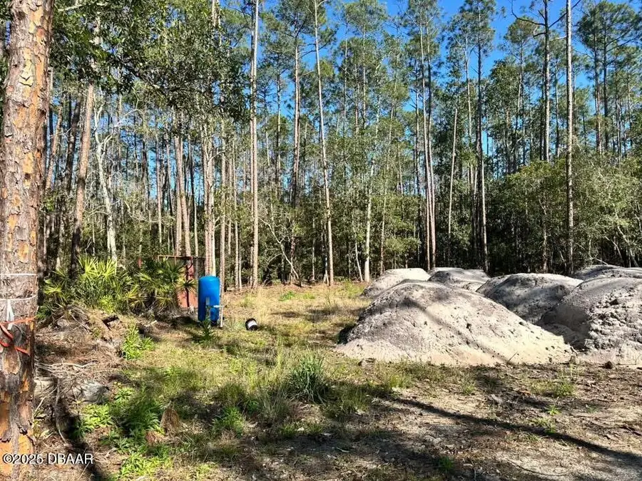 3789 Pine Pitch Court, Ormond Beach, FL 32174 - #3