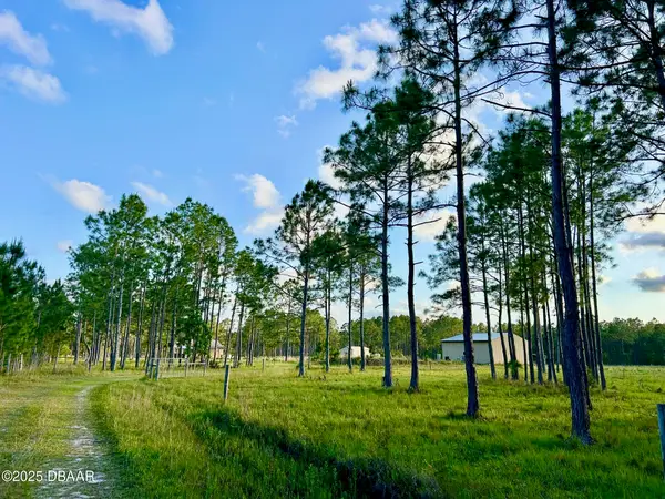 201 Wasick Lane, Ormond Beach, FL 32174