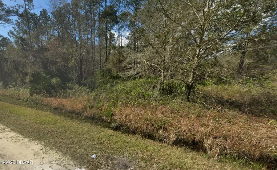 10675 Weatherby Avenue, Hastings, FL 32145 - #2