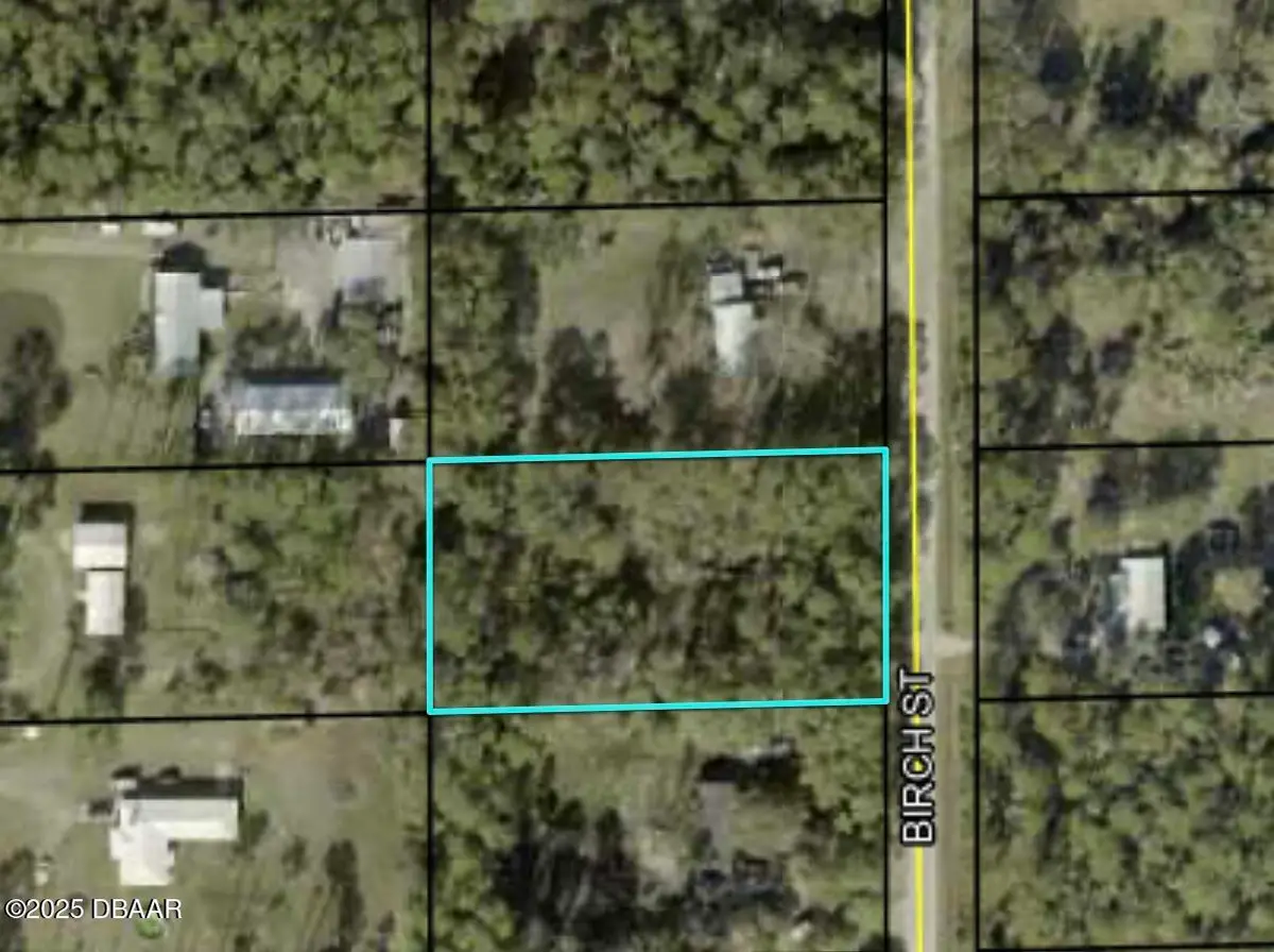 1082 Birch Street, Bunnell, FL 32110 - Image #1