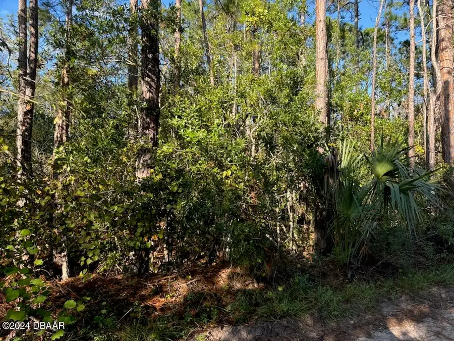 4637 Kola Road, New Smyrna Beach, FL 32168 - Image #2