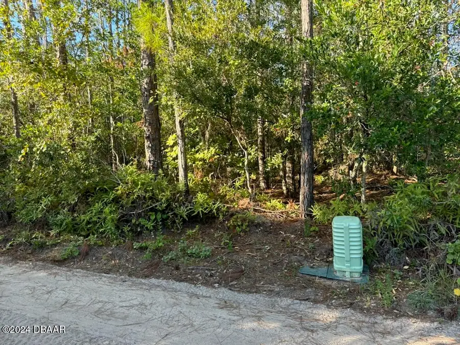 4637 Kola Road, New Smyrna Beach, FL 32168 - Image #3