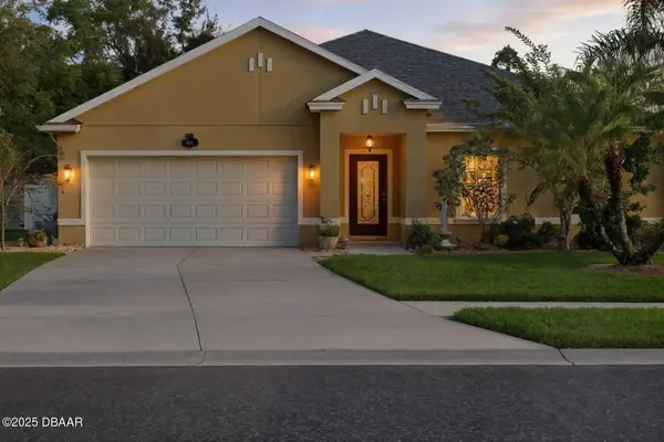 740 Grape Ivy Lane, New Smyrna Beach, FL 32168