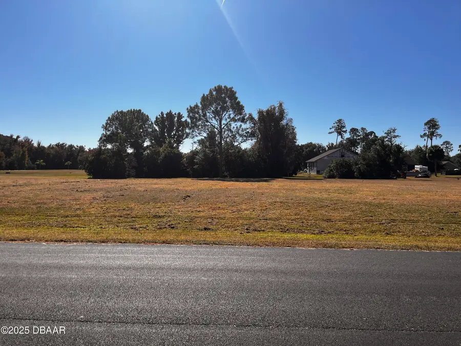 Lot 90 Lindsay Lane, Crescent City, FL 32112 - Image #3