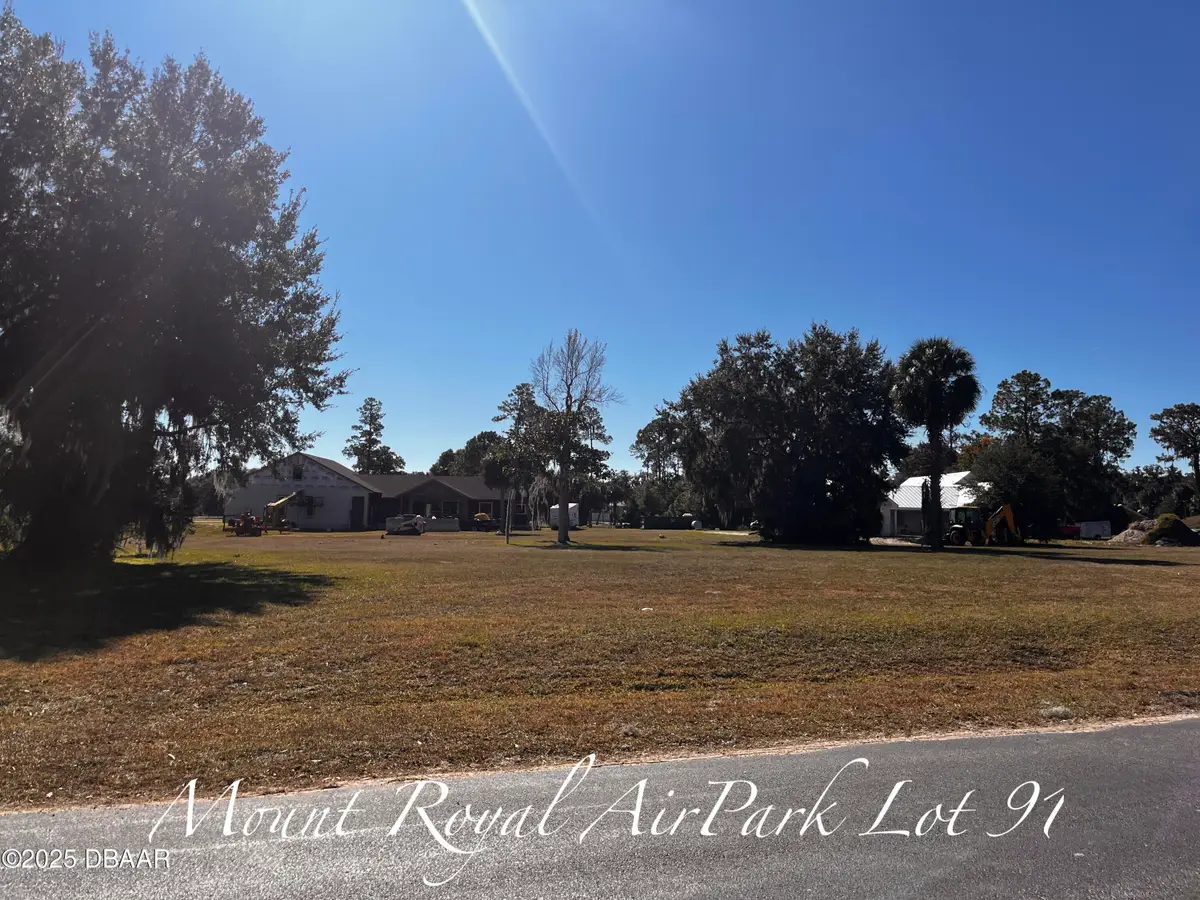 Lot 91 Lindsay Lane, Crescent City, FL 32112 - Image #1