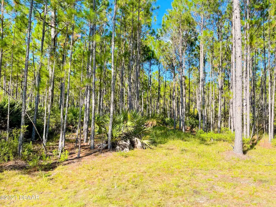 0 Durrance Lane Lane, Ormond Beach, FL 32174 - Image #3