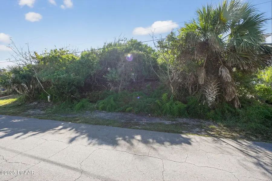 61 Beverly Hills Avenue, Ponce Inlet, FL 32127 - Image #2