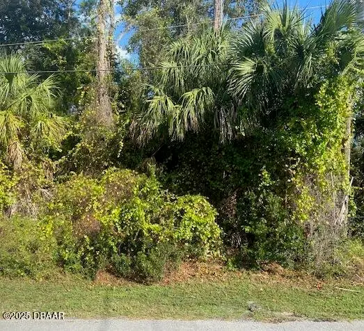 20 Seward Trail, Palm Coast, FL 32164 - Image #2
