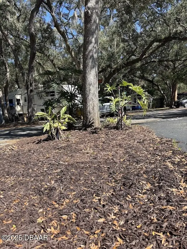 25161 NE 140th (lot 18) Loop, Salt Springs, FL 32134 - Image #2