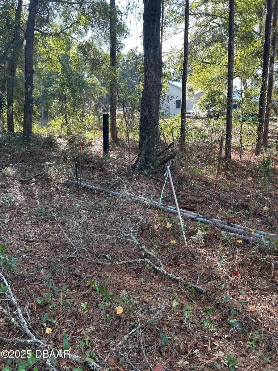 112 Peach Orchard Road, Pomona Park, FL 32181 - Image #3