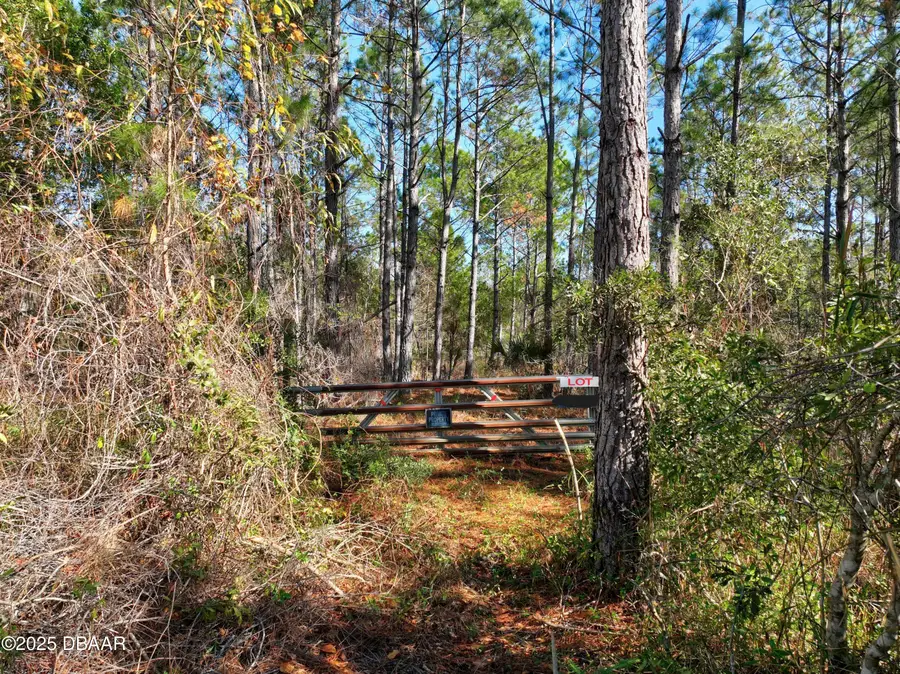00 Boise Lane, Ormond Beach, FL 32174 - Image #2