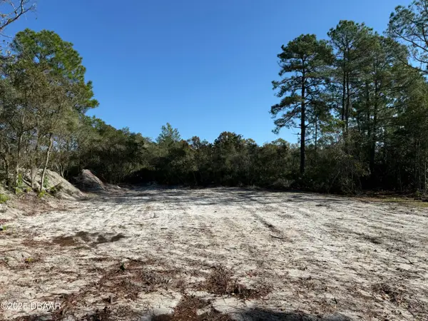 0 Viola Avenue, Eustis, FL 32736