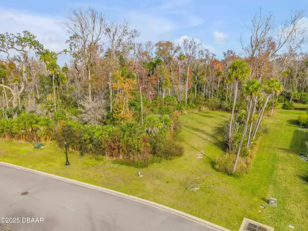 2307 Legacy Lane, New Smyrna Beach, FL 32168