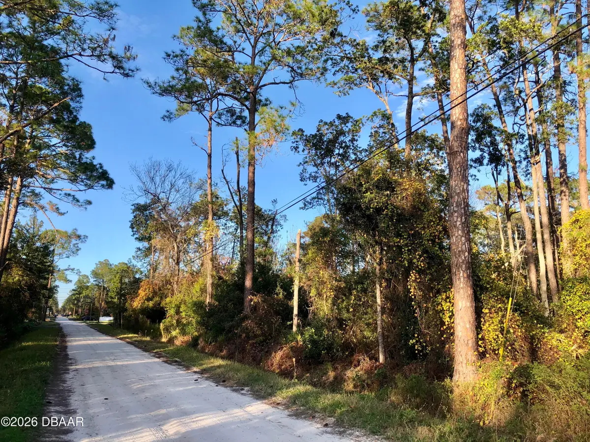 1545 10th Avenue, Deland, FL 32724 - #1