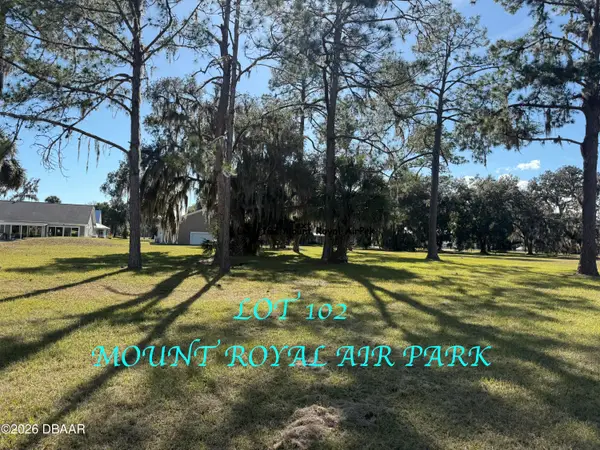 102 Mt Royal Avenue, Crescent City, FL 32112
