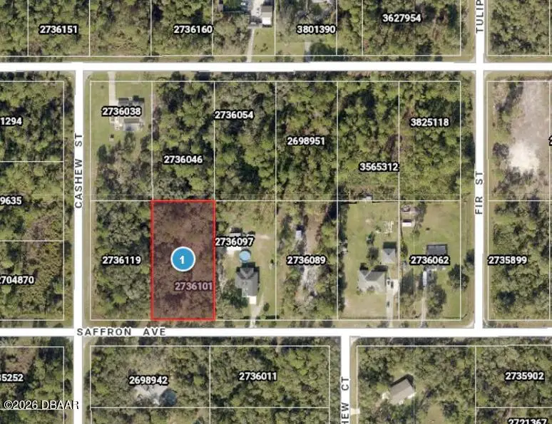 0 Saffron Avenue, Eustis, FL 32736 - #1