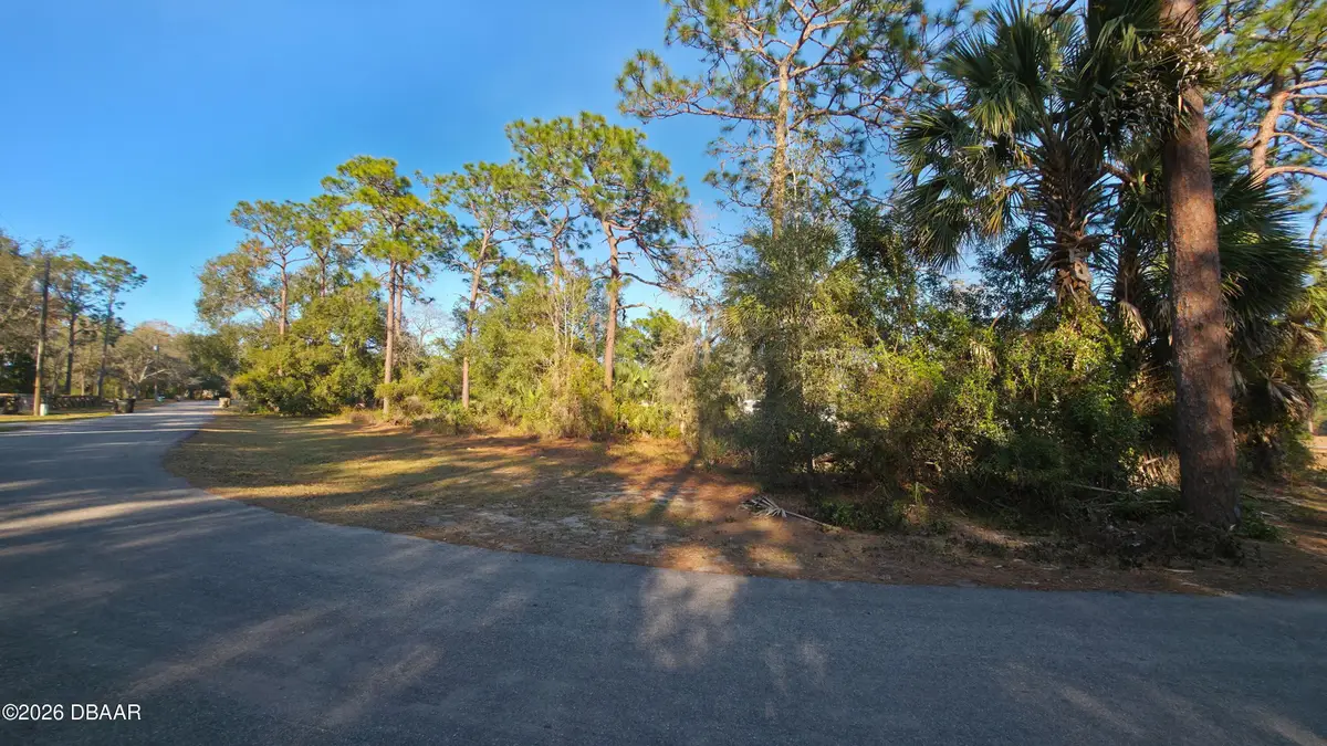 LOT 38 Mardon Circle, Paisley, FL 32767 - Image #1