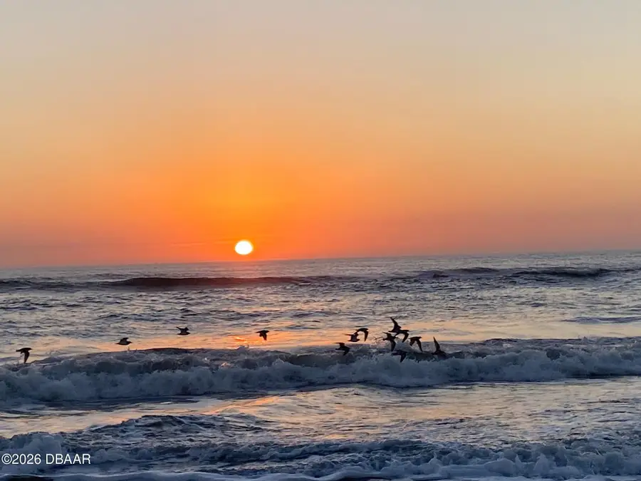 1813 Myrtlebrooke Drive, Edgewater, FL 32141 - Image #3