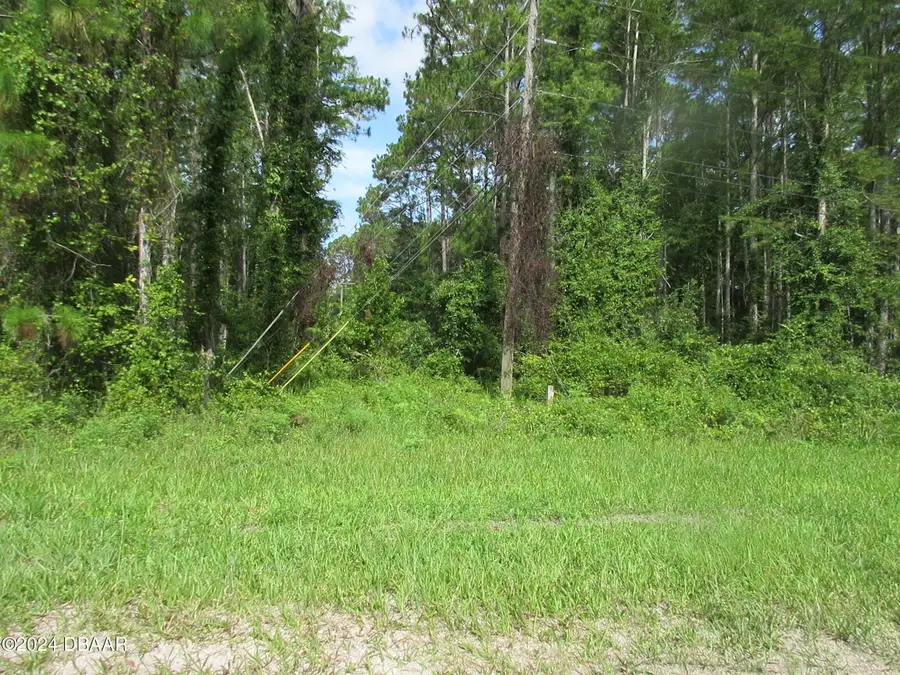 1680 Roosevelt Boulevard, Daytona Beach, FL 32124 - #2