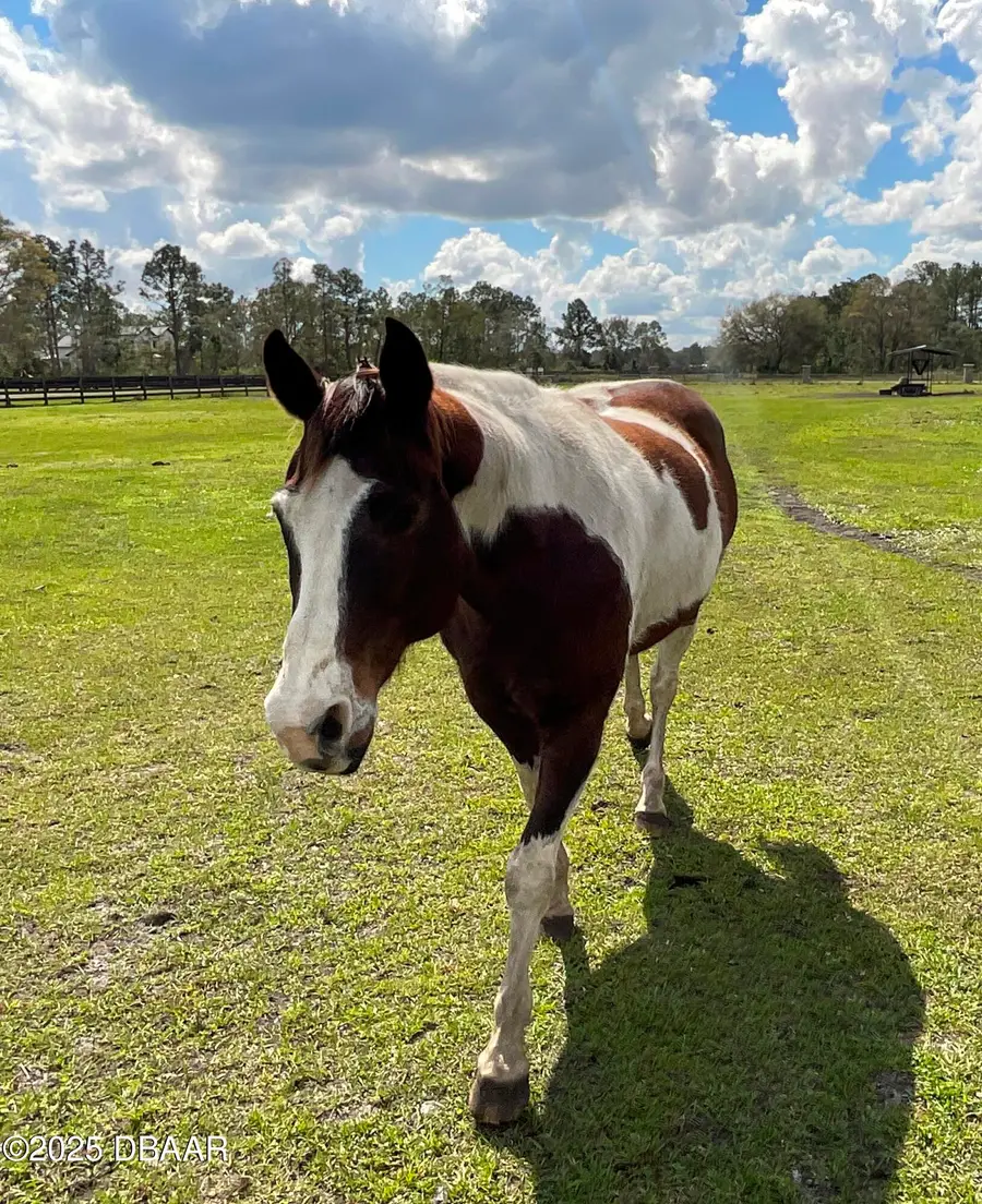 1100 Tallacoe Trail, New Smyrna Beach, FL 32168 - #2