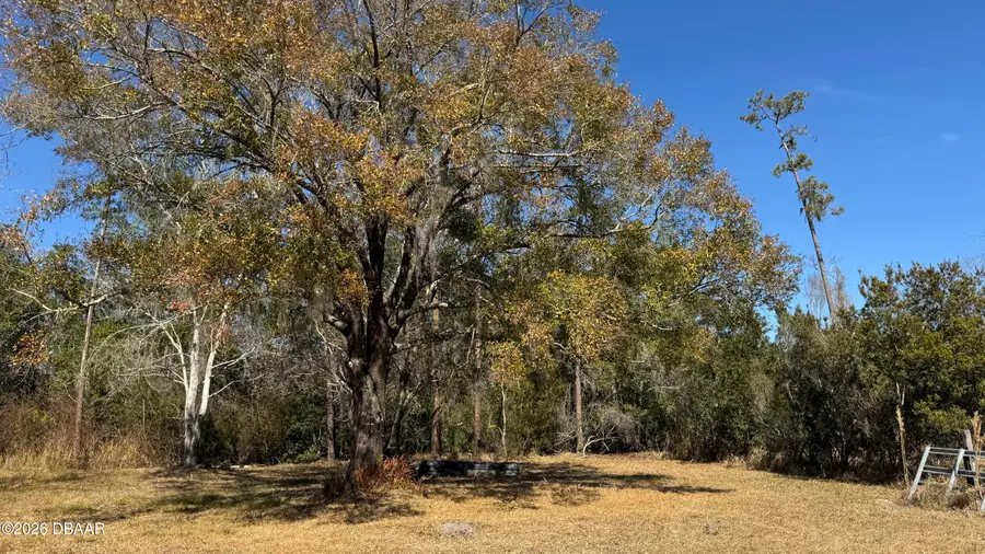 3642 Tamarack Drive, Ormond Beach, FL 32174 - #3