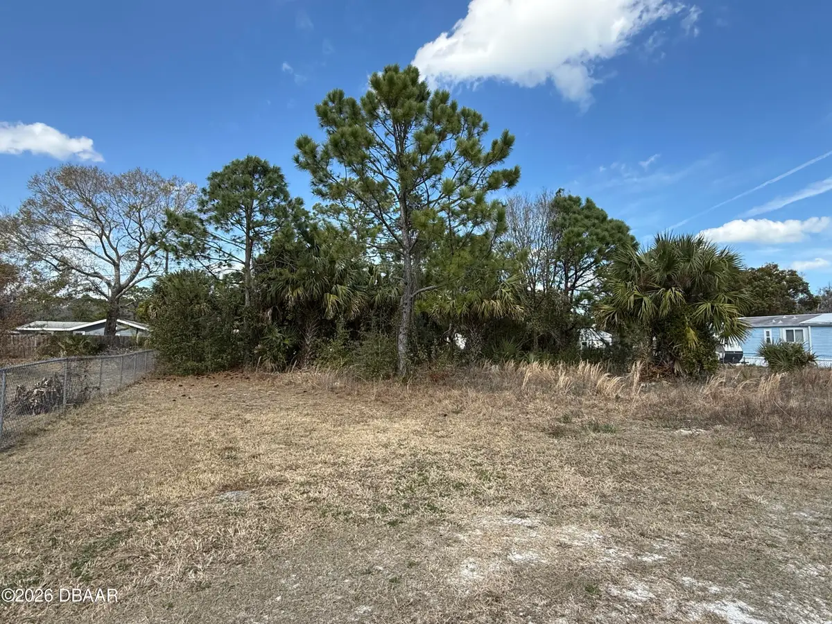 1069 Massey Road, New Smyrna Beach, FL 32168 - #1