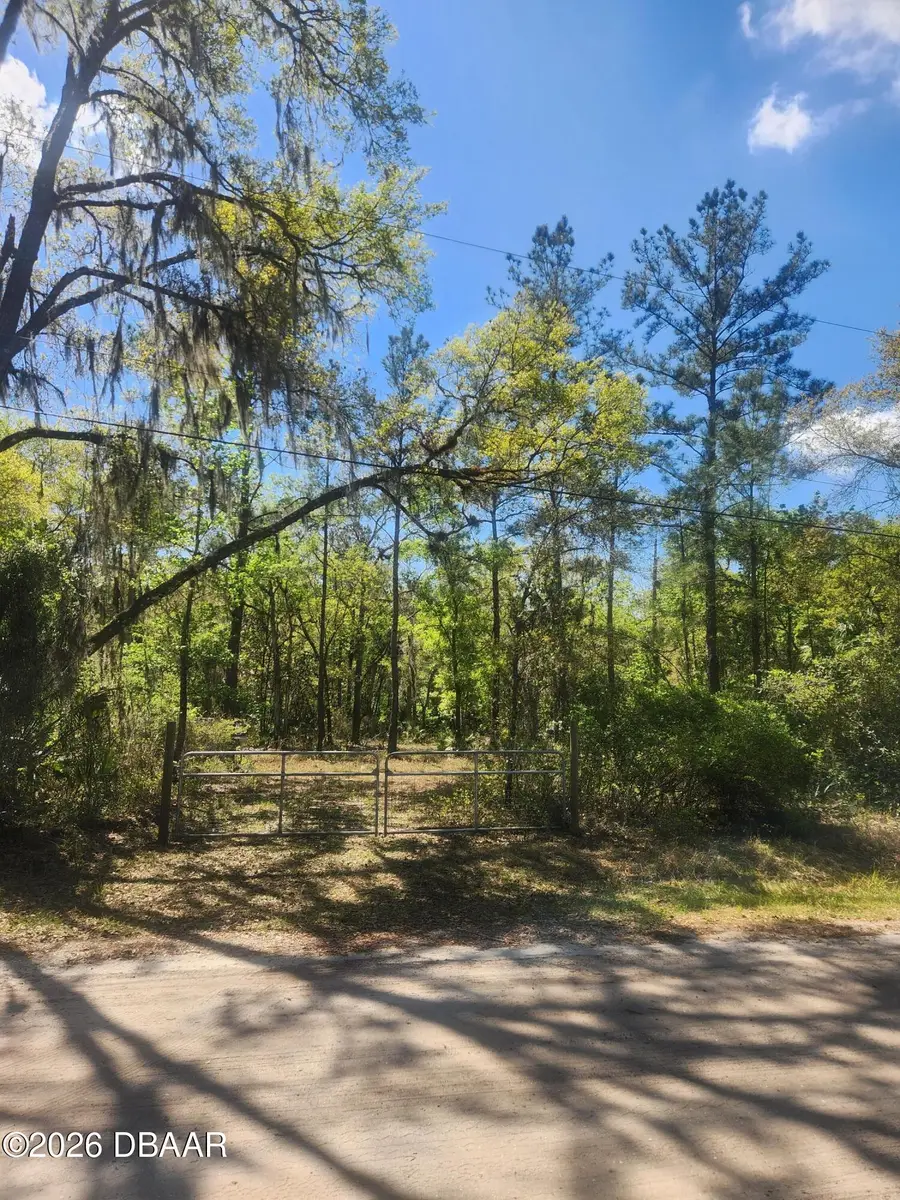 6549 Fruit Avenue, Bunnell, FL 32110 - #3