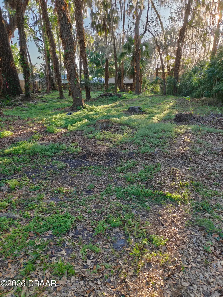 2214 Needle Palm Drive, Edgewater, FL 32141 - #2