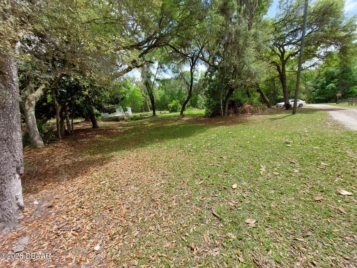 18625 NE 238th Terrace, Fort McCoy, FL 32134 - #1