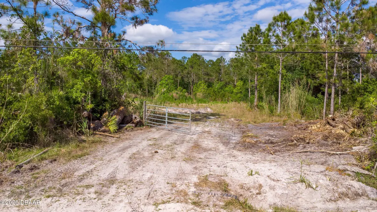 402 Juniper Lane, Ormond Beach, FL 32174 - #1