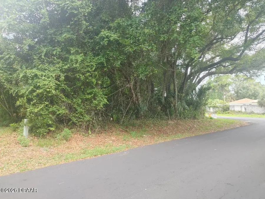 0000 Fern Palm Drive, Edgewater, FL 32141 - #2
