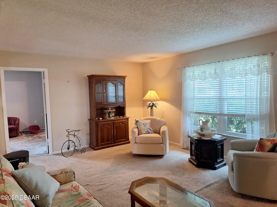 2707 Pine Tree Drive, Edgewater, FL 32141 - #3